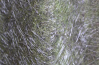 Knock fibreglass roof work